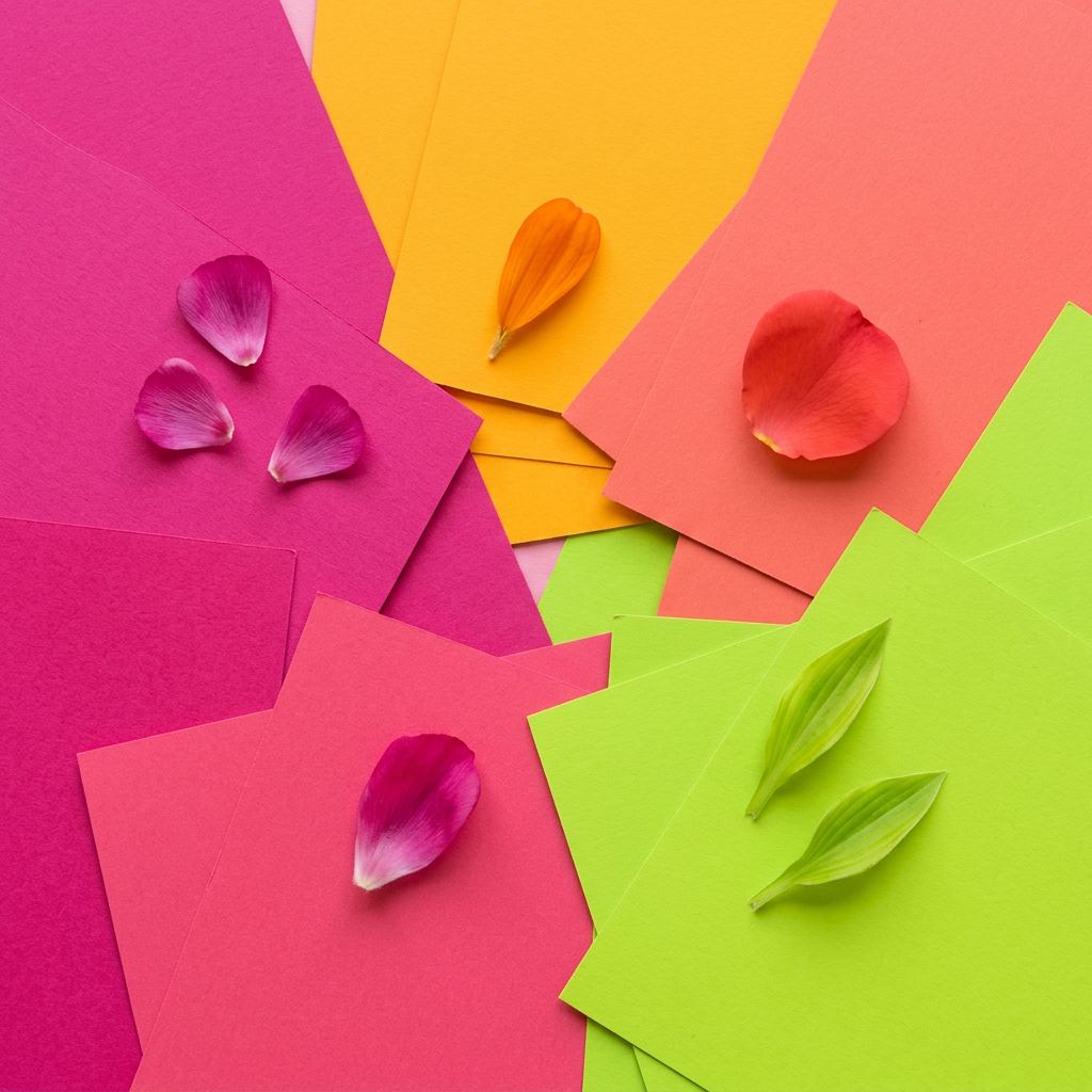 Chutes de papier de couleur disposées en éventail avec des pétales frais posés dessus